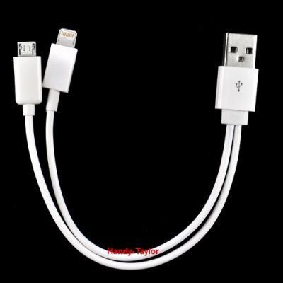 2in1 USB Adapter-Kabel für iPhone 5,iPad 4,iPod,Samsung